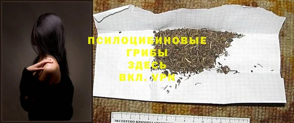дмт Алзамай