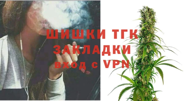 дмт Алзамай