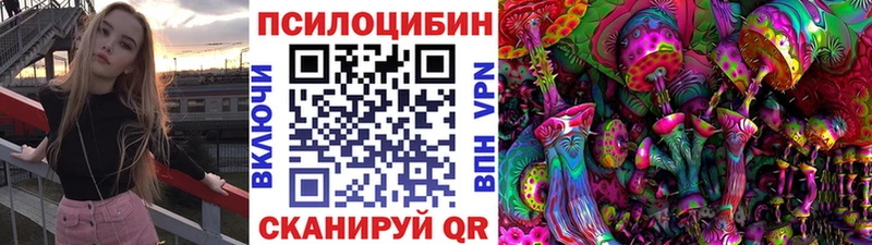 Псилоцибиновые грибы Psilocybe  Хадыженск 
